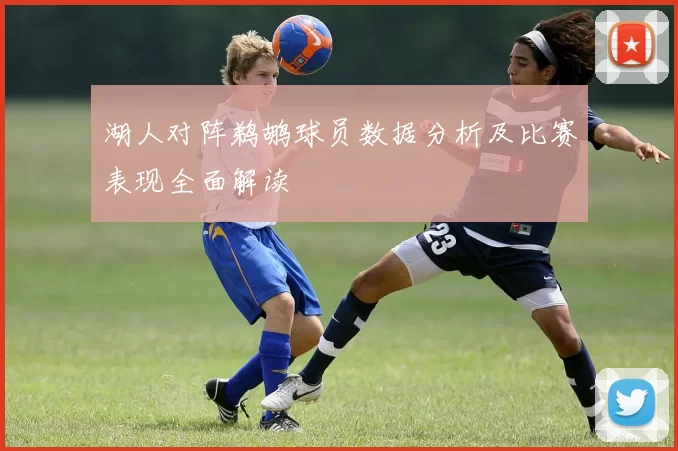 湖人对阵鹈鹕球员数据分析及比赛表现全面解读