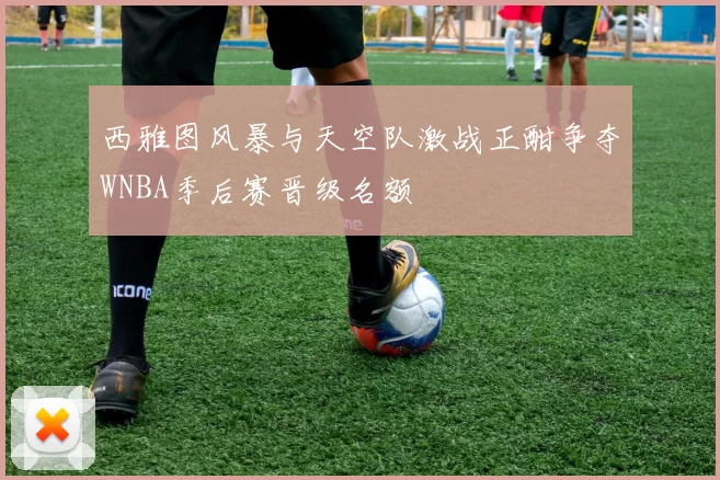 西雅图风暴与天空队激战正酣争夺WNBA季后赛晋级名额