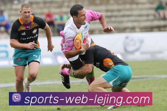 乐竞体育平台生态图